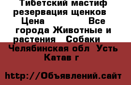 Тибетский мастиф резервация щенков › Цена ­ 100 000 - Все города Животные и растения » Собаки   . Челябинская обл.,Усть-Катав г.